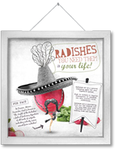 Radishes- you need them in your life