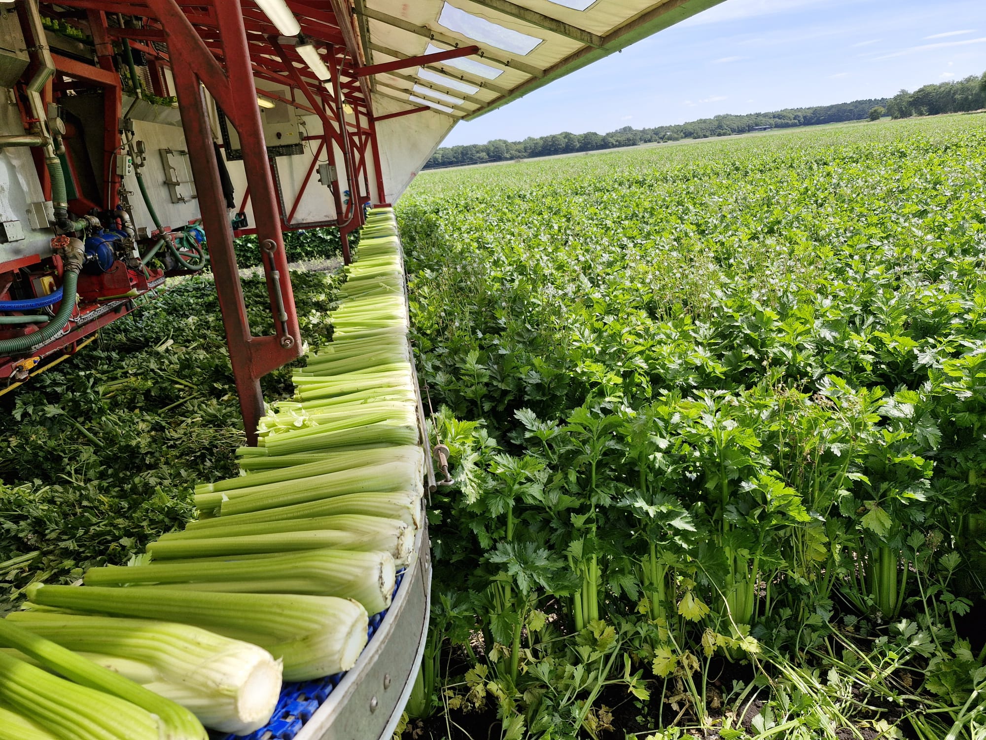 gore-hall-farm-processor